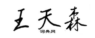 王正良王天森行书个性签名怎么写