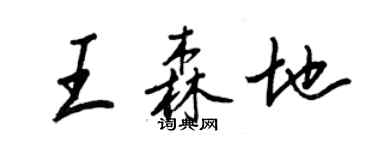 王正良王森地行书个性签名怎么写