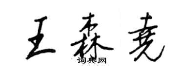 王正良王森尧行书个性签名怎么写