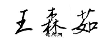 王正良王森茹行书个性签名怎么写