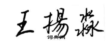 王正良王扬淼行书个性签名怎么写