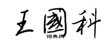 王正良王国科行书个性签名怎么写