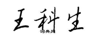 王正良王科生行书个性签名怎么写