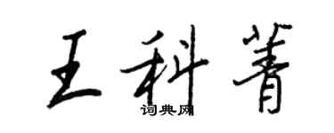 王正良王科菁行书个性签名怎么写