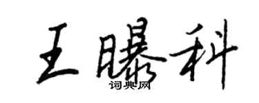 王正良王曝科行书个性签名怎么写