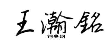 王正良王瀚铭行书个性签名怎么写