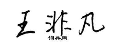 王正良王非凡行书个性签名怎么写