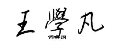 王正良王学凡行书个性签名怎么写