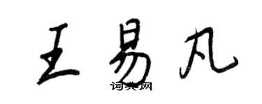 王正良王易凡行书个性签名怎么写