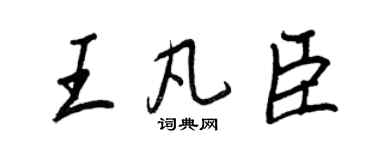 王正良王凡臣行书个性签名怎么写