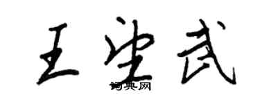 王正良王望武行书个性签名怎么写