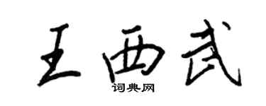 王正良王西武行书个性签名怎么写