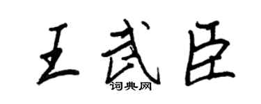 王正良王武臣行书个性签名怎么写