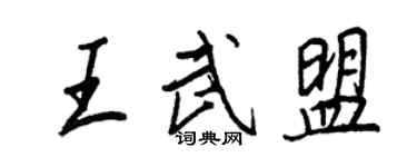 王正良王武盟行书个性签名怎么写