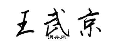 王正良王武京行书个性签名怎么写