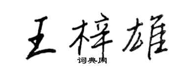 王正良王梓雄行书个性签名怎么写