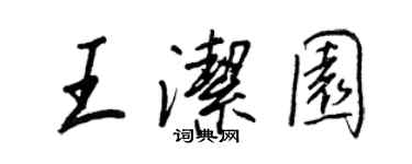 王正良王洁园行书个性签名怎么写
