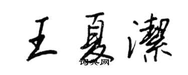 王正良王夏洁行书个性签名怎么写