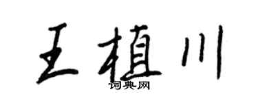 王正良王植川行书个性签名怎么写