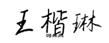 王正良王楷琳行书个性签名怎么写