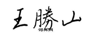 王正良王胜山行书个性签名怎么写