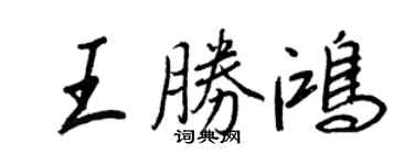 王正良王胜鸿行书个性签名怎么写
