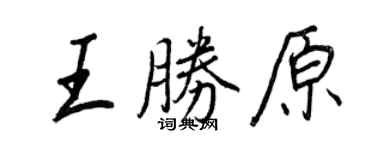 王正良王胜原行书个性签名怎么写