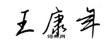 王正良王康年行书个性签名怎么写
