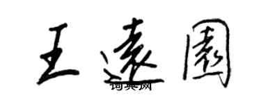 王正良王远园行书个性签名怎么写