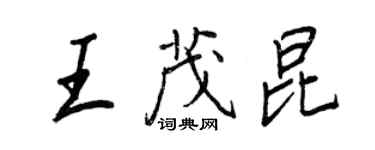 王正良王茂昆行书个性签名怎么写
