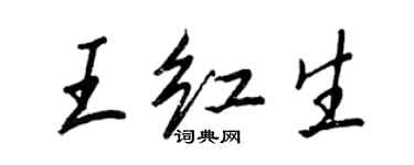 王正良王红生行书个性签名怎么写