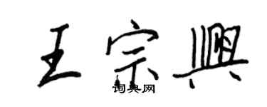 王正良王宗兴行书个性签名怎么写
