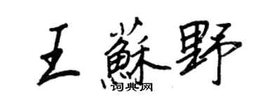 王正良王苏野行书个性签名怎么写