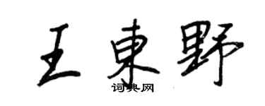 王正良王东野行书个性签名怎么写