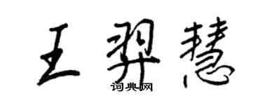 王正良王羿慧行书个性签名怎么写