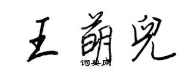 王正良王萌儿行书个性签名怎么写