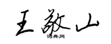 王正良王敬山行书个性签名怎么写