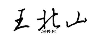 王正良王北山行书个性签名怎么写