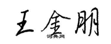 王正良王金朋行书个性签名怎么写