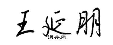 王正良王延朋行书个性签名怎么写