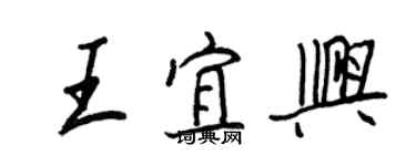 王正良王宜兴行书个性签名怎么写