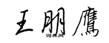 王正良王朋鹰行书个性签名怎么写