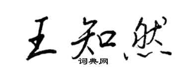 王正良王知然行书个性签名怎么写