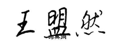 王正良王盟然行书个性签名怎么写