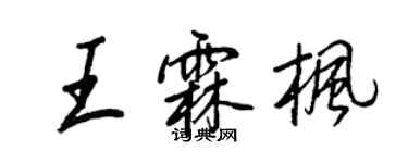 王正良王霖枫行书个性签名怎么写