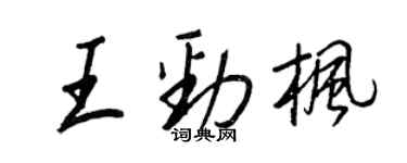 王正良王劲枫行书个性签名怎么写