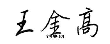 王正良王金高行书个性签名怎么写