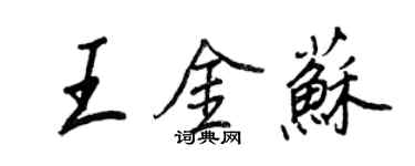 王正良王金苏行书个性签名怎么写