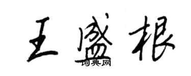 王正良王盛根行书个性签名怎么写