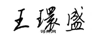 王正良王环盛行书个性签名怎么写